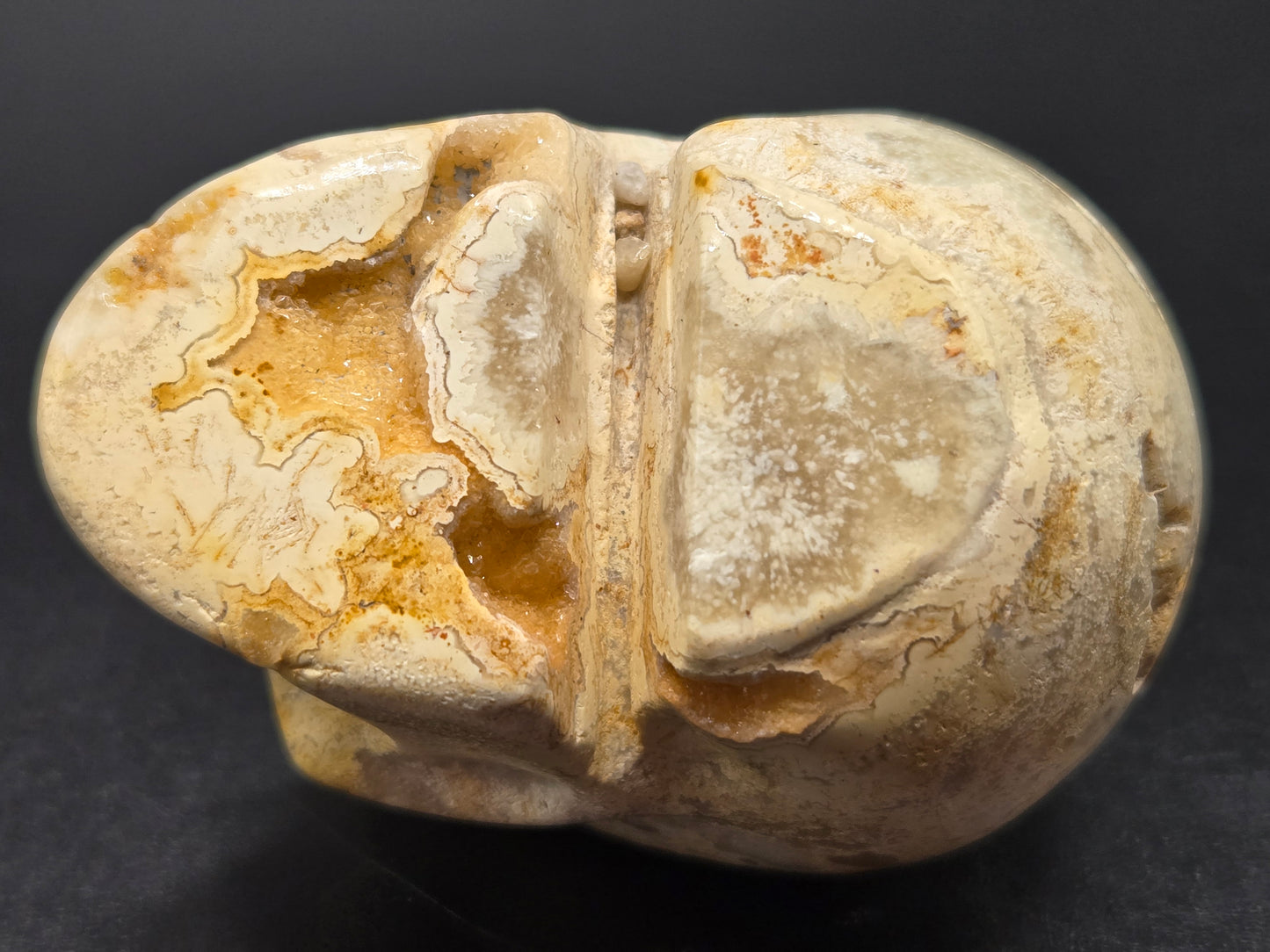 Skull