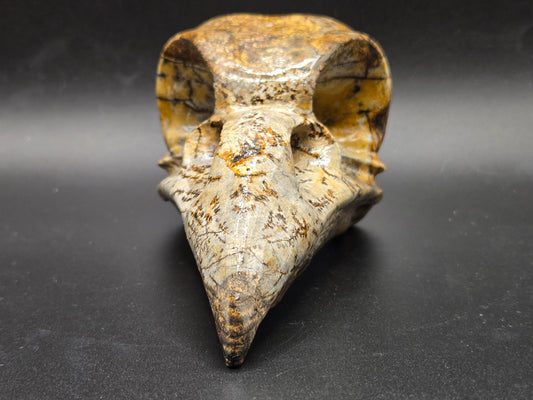 Crow Skull