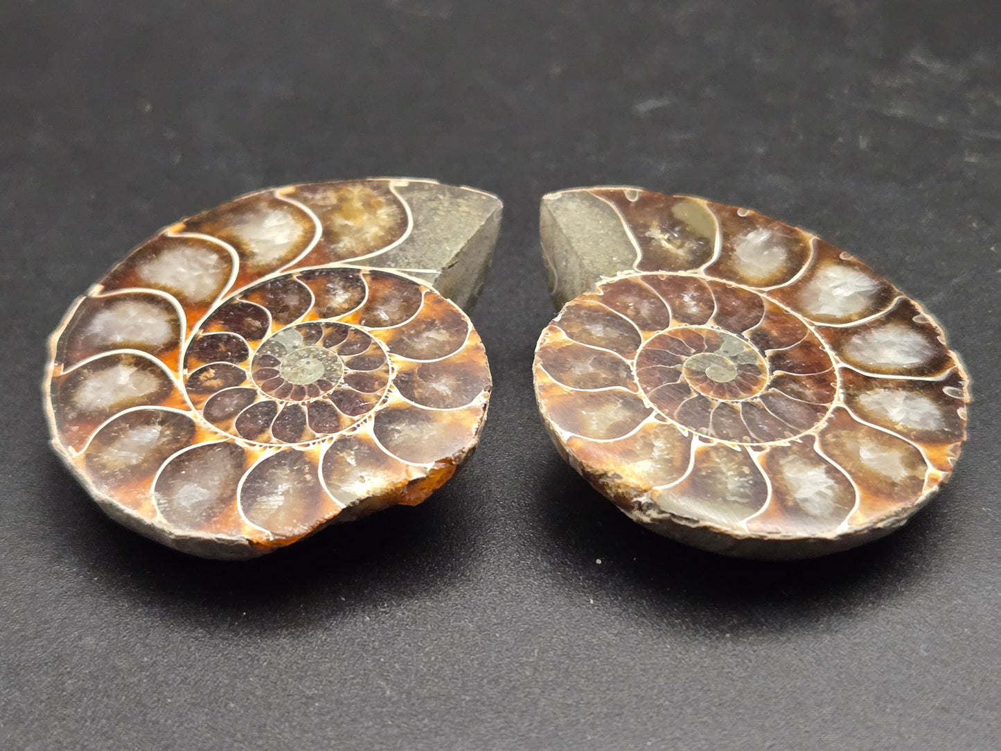 Fossil