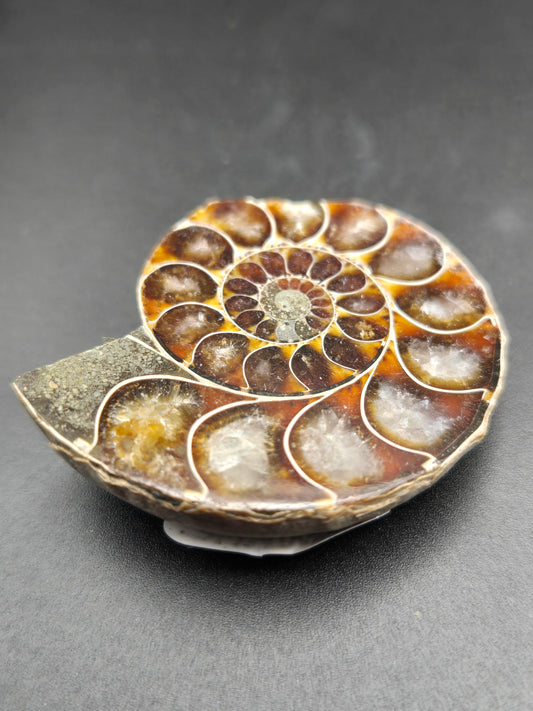 Fossil