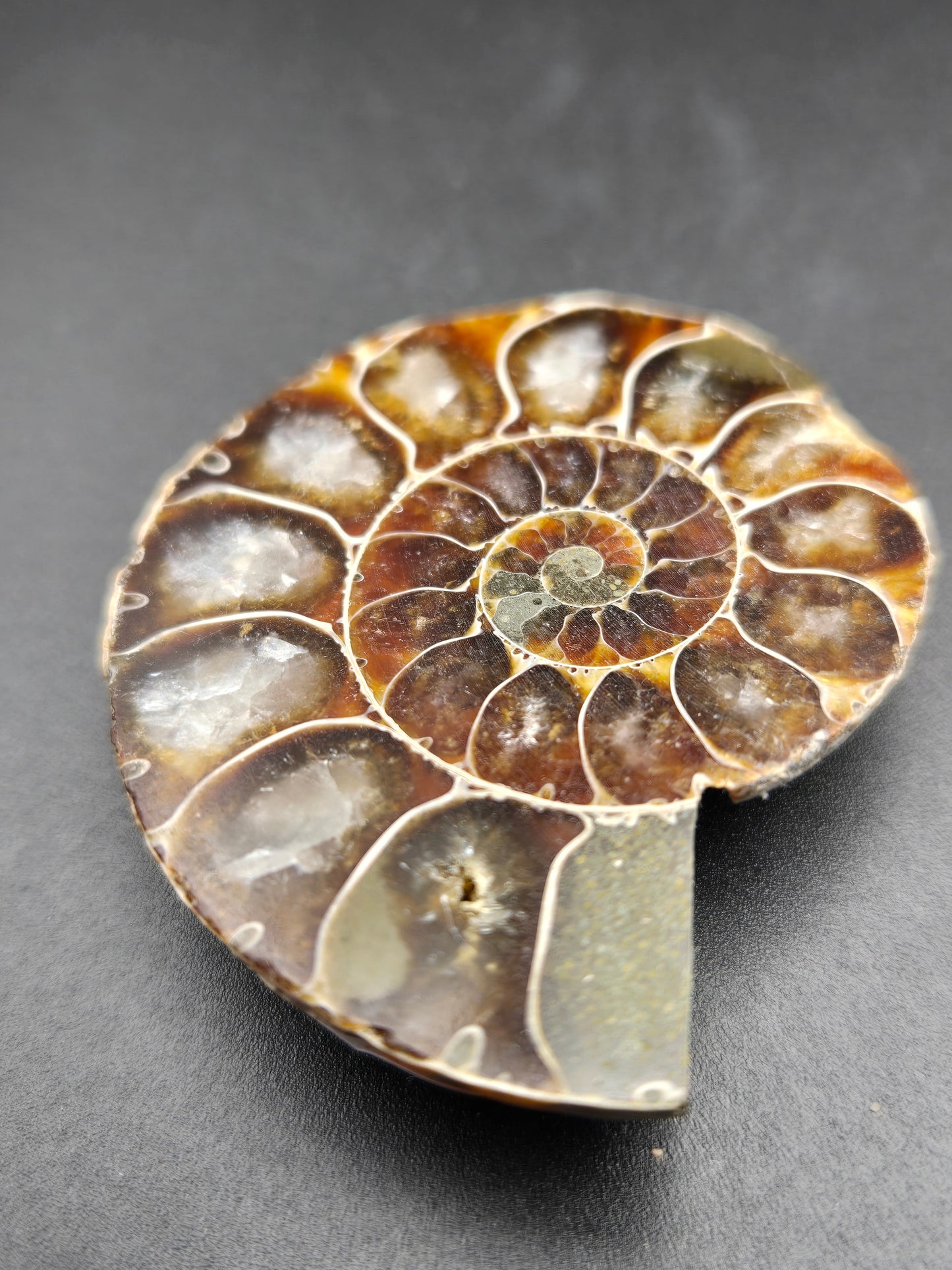 Fossil