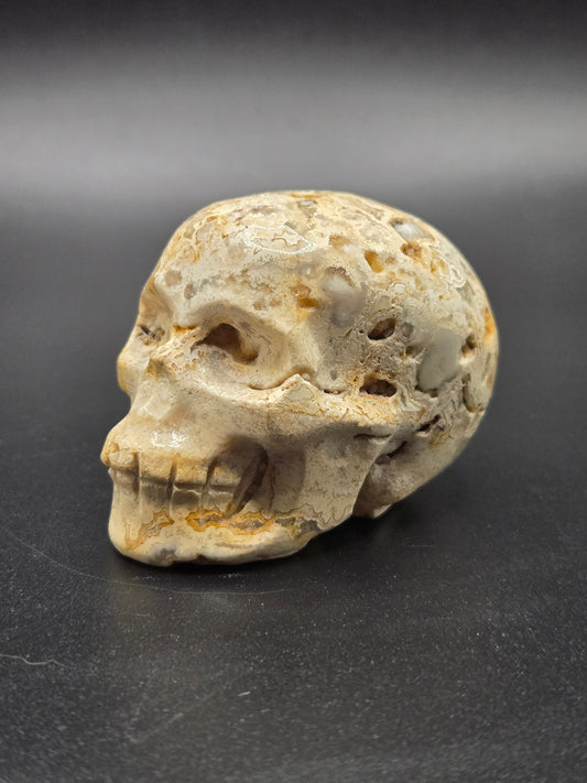 Skull