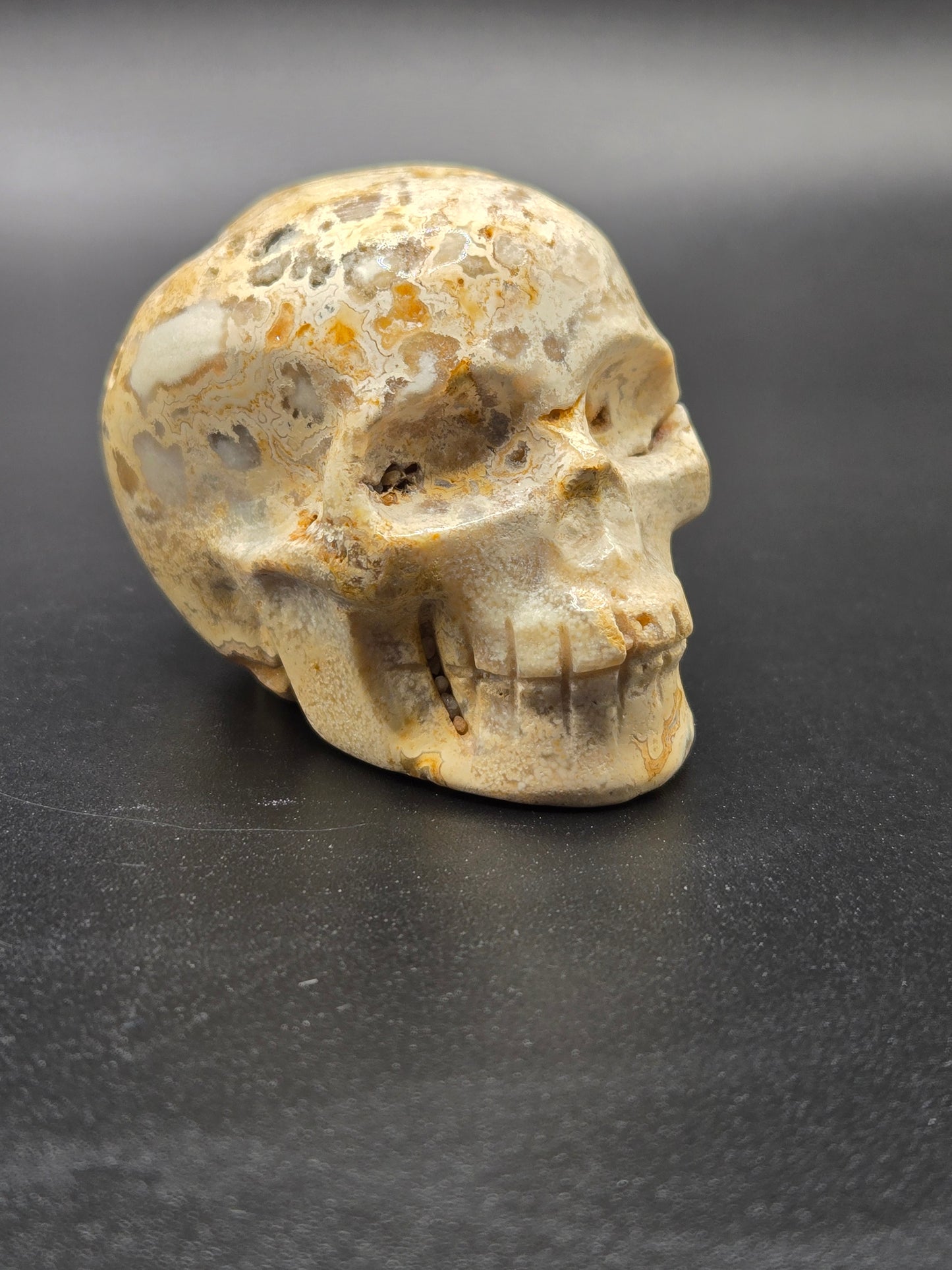 Skull