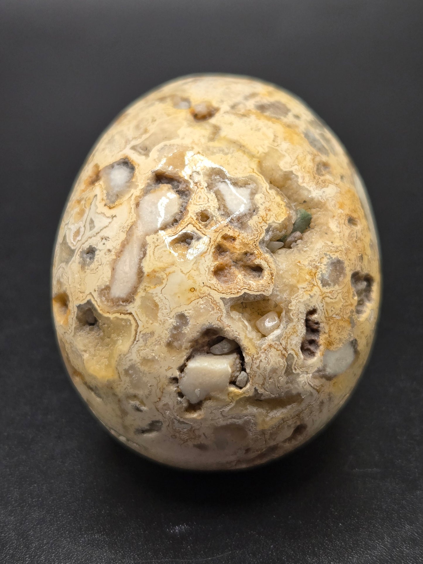 Skull